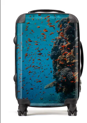 Coral Suitcase / Luggage