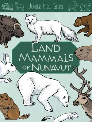 Junior Field Guide : Land Mammals