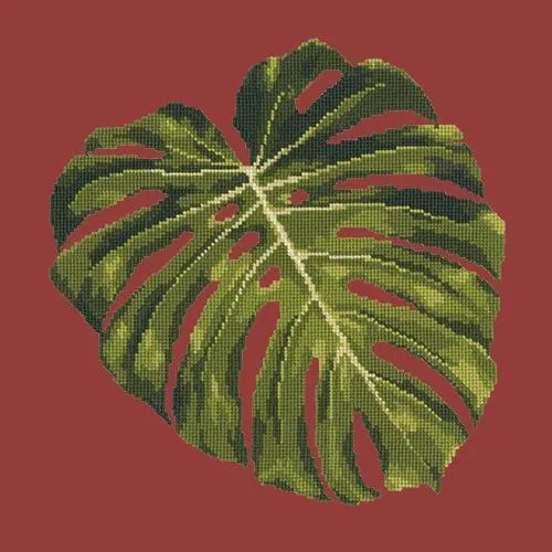 Monstera Leaf