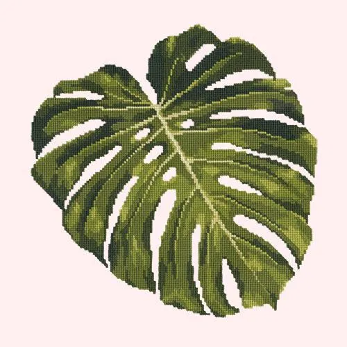 Monstera Leaf