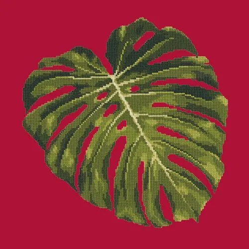 Monstera Leaf