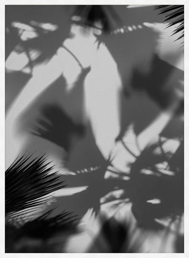 Palm Trees Shadow Print