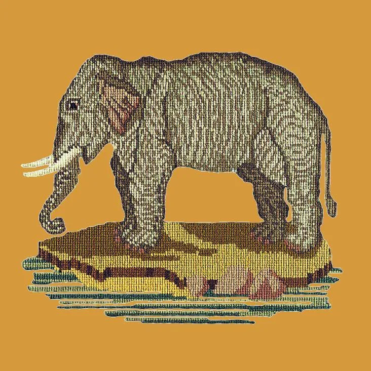 The Elephant