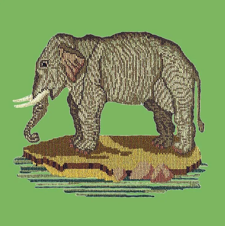 The Elephant